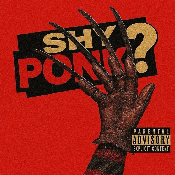 Shy Ponk? cover art